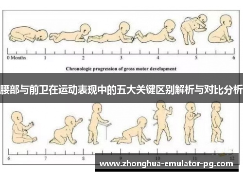 腰部与前卫在运动表现中的五大关键区别解析与对比分析