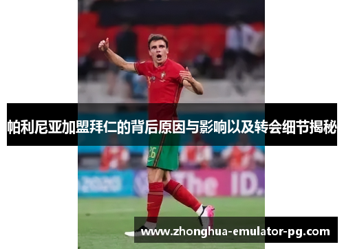 帕利尼亚加盟拜仁的背后原因与影响以及转会细节揭秘