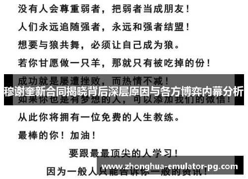 穆谢奎新合同揭晓背后深层原因与各方博弈内幕分析